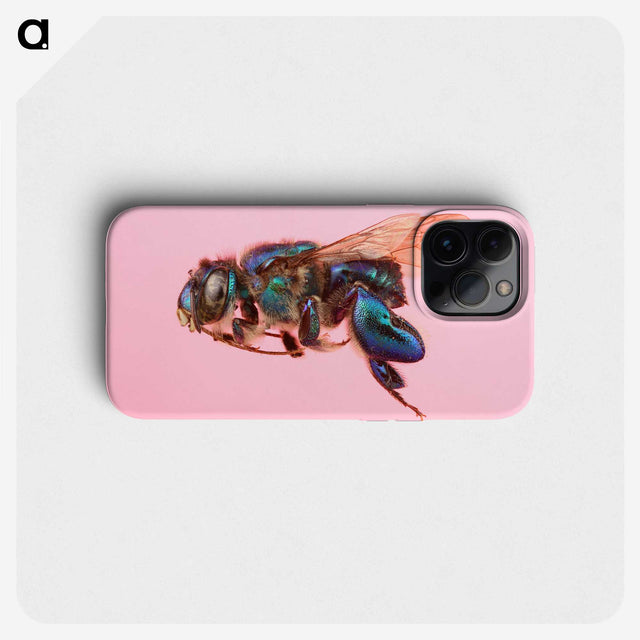 2-46_Insects-Unlocked-Project_phone