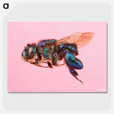 2-46_Insects-Unlocked-Project_picture-crop