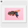 2-46_Insects-Unlocked-Project_picture