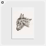 アートポストカード-Head of a donkey - ジャン ベルナール Postcard.