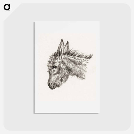 アートポストカード-Head of a donkey - ジャン ベルナール Postcard.