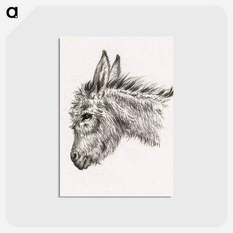 アートポストカード-Head of a donkey - ジャン ベルナール Postcard.