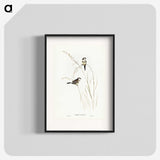 2-46_John-Gould_blk