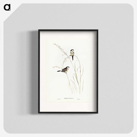 2-46_John-Gould_blk