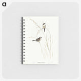 2-46_John-Gould_memo