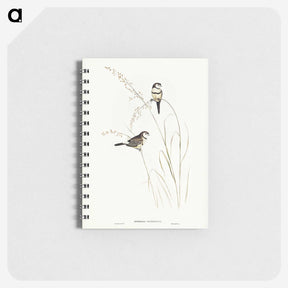 2-46_John-Gould_memo