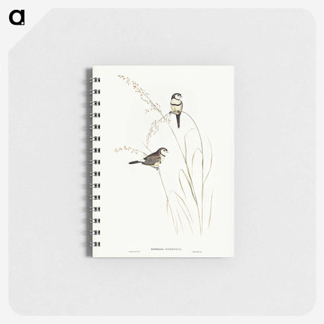 2-46_John-Gould_memo