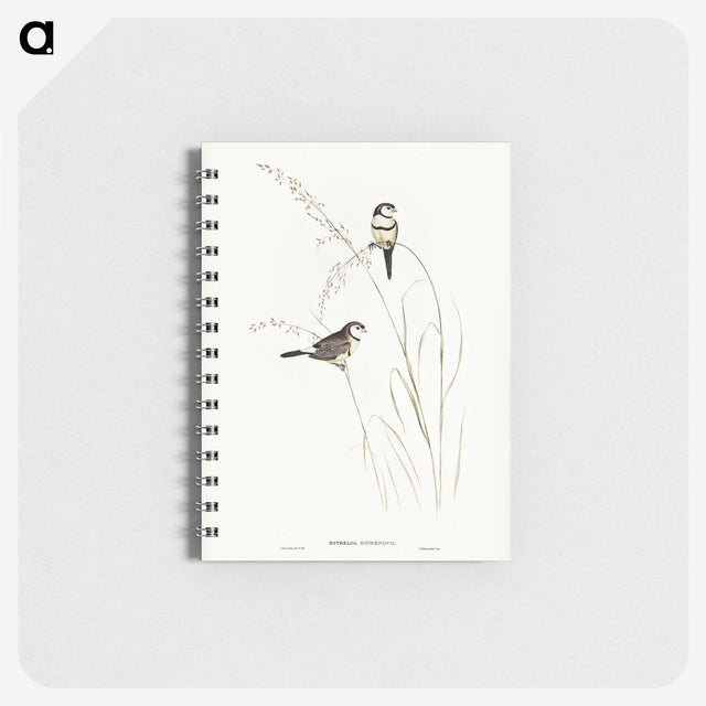 2-46_John-Gould_memo
