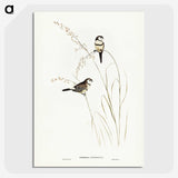 2-46_John-Gould_picture-crop