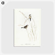2-46_John-Gould_postcard