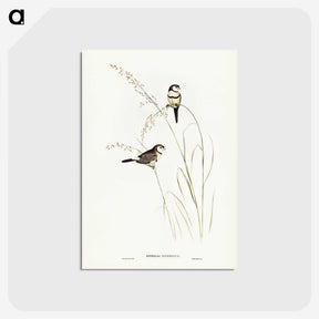 2-46_John-Gould_postcard