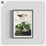 2-46_John-James-Audubon_blk-crop