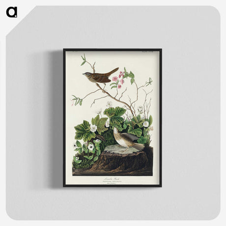 2-46_John-James-Audubon_blk-crop
