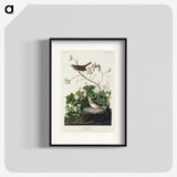 2-46_John-James-Audubon_blk