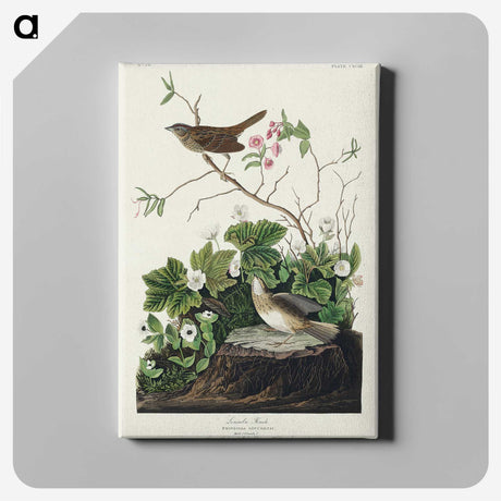 2-46_John-James-Audubon_canvas