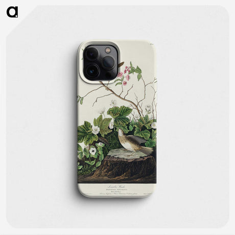2-46_John-James-Audubon_phone