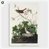 2-46_John-James-Audubon_picture-crop