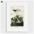 2-46_John-James-Audubon_picture