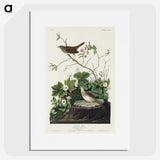 2-46_John-James-Audubon_picture