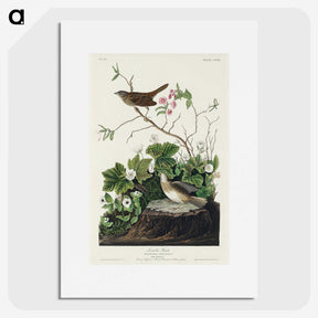 2-46_John-James-Audubon_picture