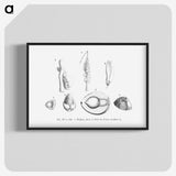2-46_Les-Palmiers-Histoire-Iconographique_blk-crop