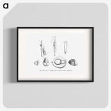 2-46_Les-Palmiers-Histoire-Iconographique_blk