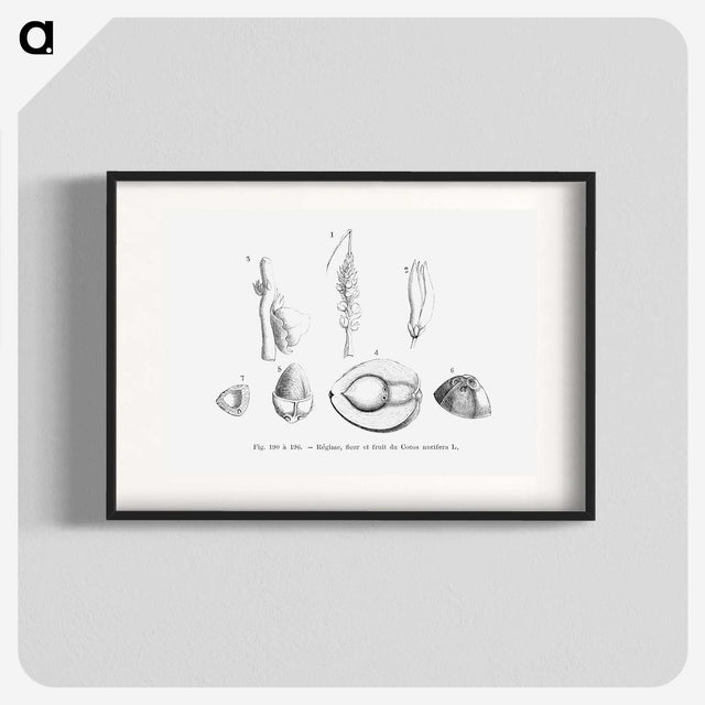 2-46_Les-Palmiers-Histoire-Iconographique_blk