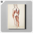2-46_Magnus-Enckell_canvas