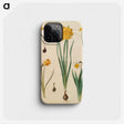 2-46_Maria-Sibylla-Merian_phone