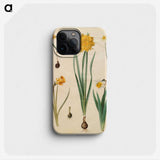 2-46_Maria-Sibylla-Merian_phone