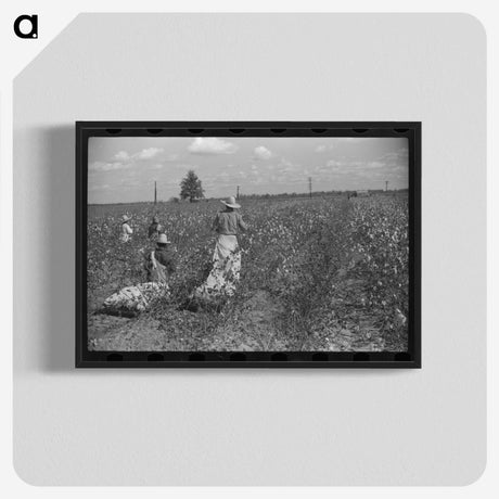 2-46_Marion-Post-Wolcott_blk-crop