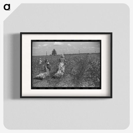 2-46_Marion-Post-Wolcott_blk
