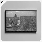 2-46_Marion-Post-Wolcott_canvas