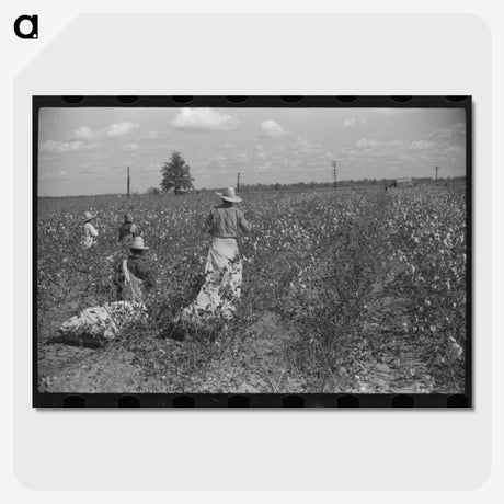 2-46_Marion-Post-Wolcott_picture-crop