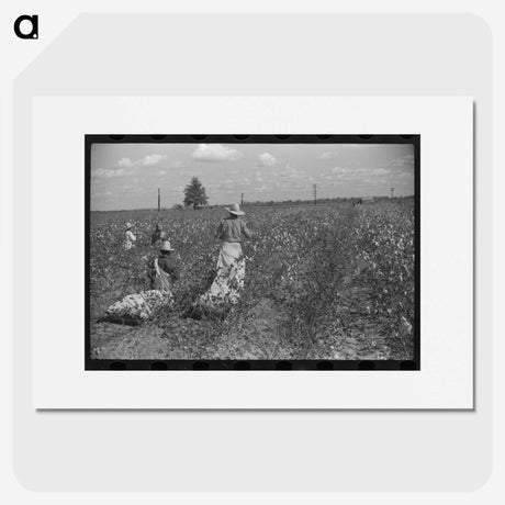 2-46_Marion-Post-Wolcott_picture