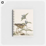 2-46_Mark-Catesby_memo