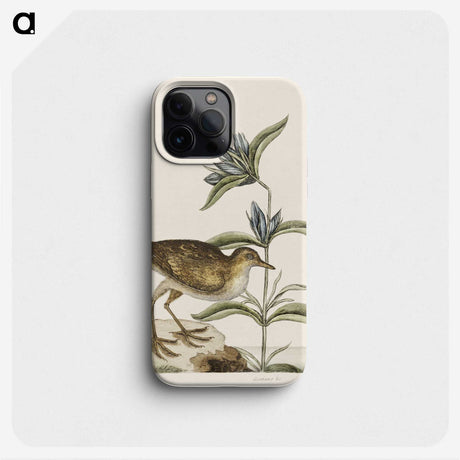 2-46_Mark-Catesby_phone