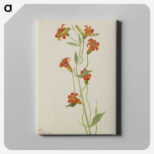 2-46_Mary-Vaux-Walcott_canvas