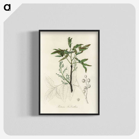 2-46_Medical-Botany_blk-crop