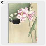 2-46_Ohara-Koson_picture-crop