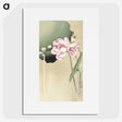 2-46_Ohara-Koson_picture