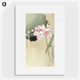2-46_Ohara-Koson_picture