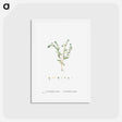 アートポストカード-Cotyledon Hispida (Sedum) - ピエール ジョゼフ ルドゥーテ Postcard.
