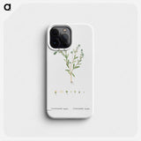 Cotyledon Hispida (Sedum) - ピエール ジョゼフ ルドゥーテ Phone Case.
