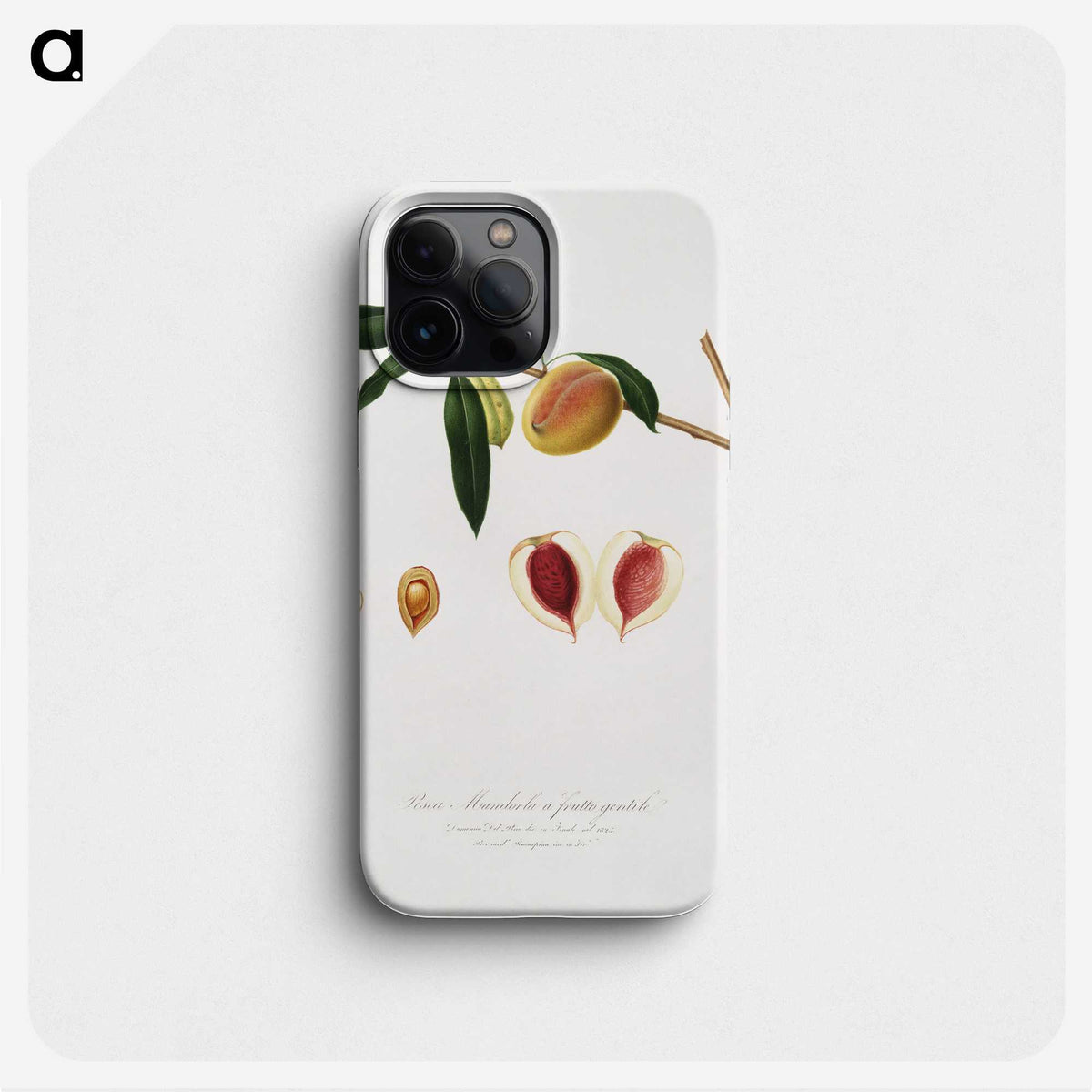 2-46_Pomona-Italiana_phone