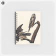 アートメモ帳-Hawk Owl from Birds of America
 - アメリカの鳥たち Memo.