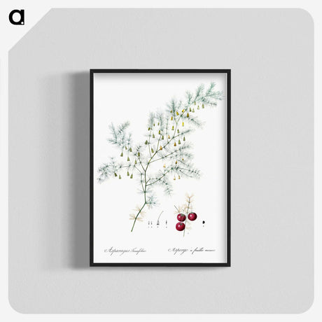 2-46_The-Lilies_blk-crop