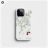 2-46_The-Lilies_phone
