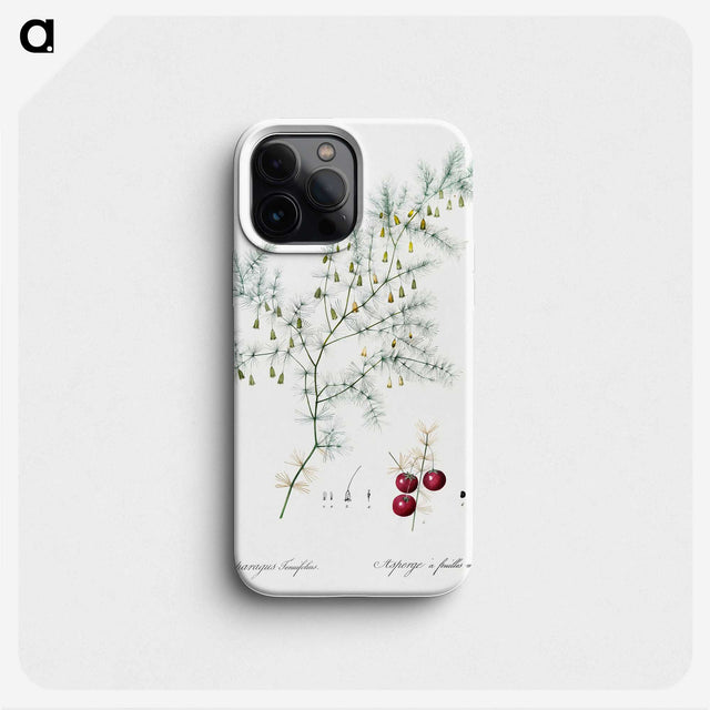 2-46_The-Lilies_phone