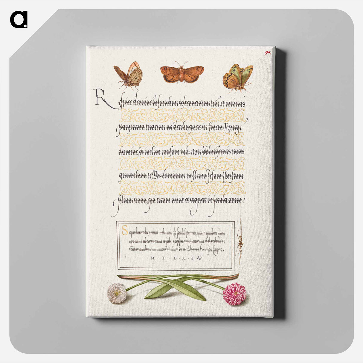 アートパネル-Butterflies, Moth, Spider, and English Daisies
 - 書道のお手本 Canvas.